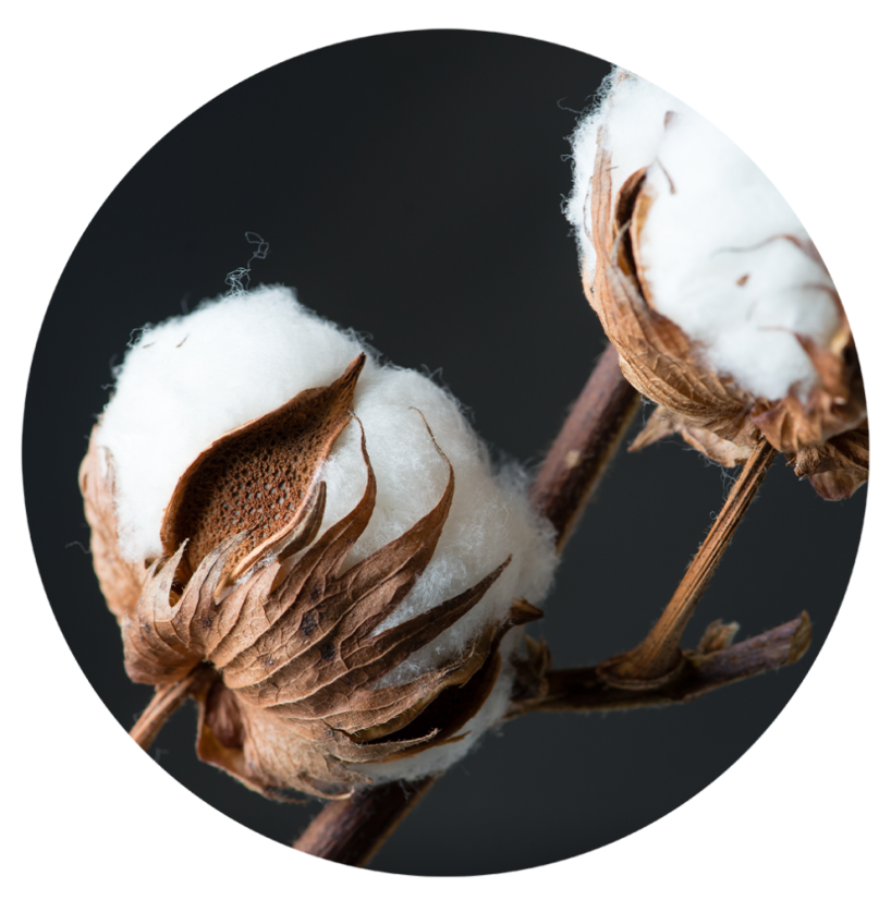 Parfém do svíček CLEAN COTTON - Balení: 100 ml Parfém do svíček CLEAN COTTON - Balení: 100 ml