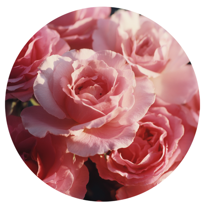 Parfém do svíček RŮŽE Parfém do svíček RŮŽE