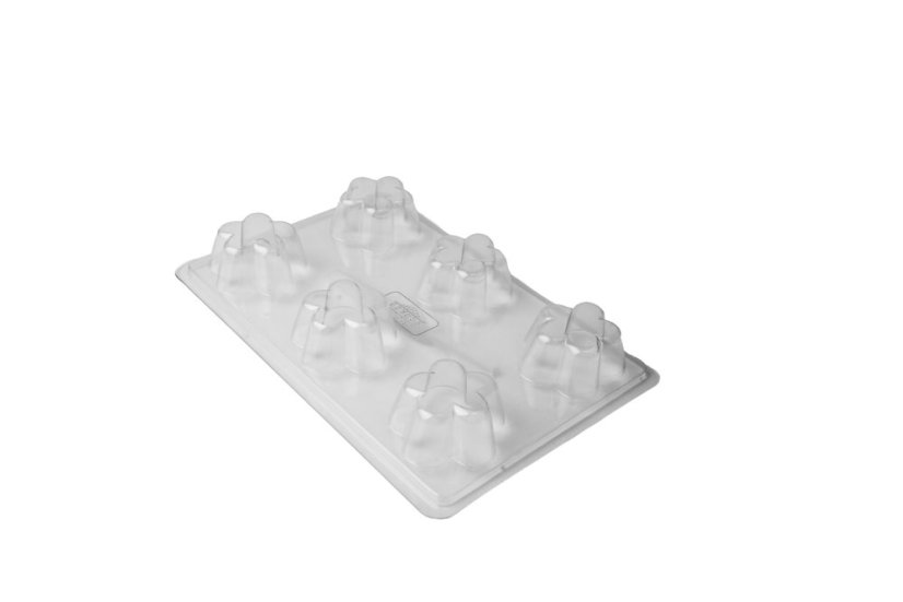 Polykarbonátová forma růžice