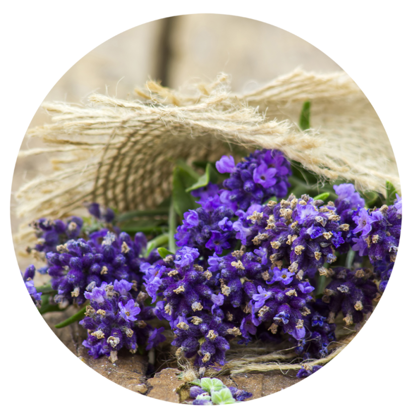 Parfém do svíček LEVANDULE Parfém do svíček LEVANDULE