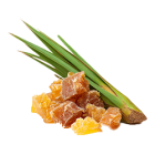 Palmový vosk