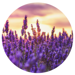 Parfém do svíček SLADKÁ LEVANDULE