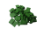 Pigmentová barva zelená B 98/2