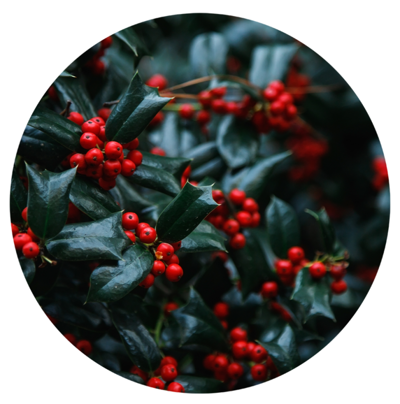 Parfém do svíček RED BERRY - Balení: 25 ml