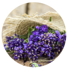 Parfém do svíček LEVANDULE