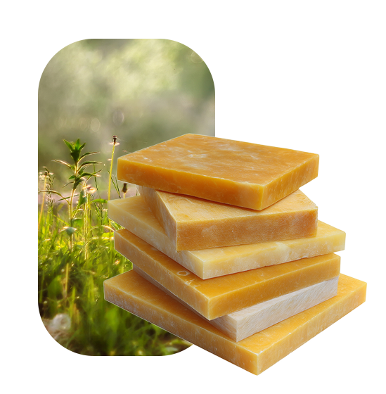 Široká nabídka přírodních vosků