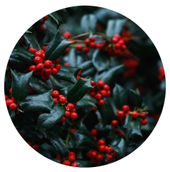 Parfém do svíček RED BERRY