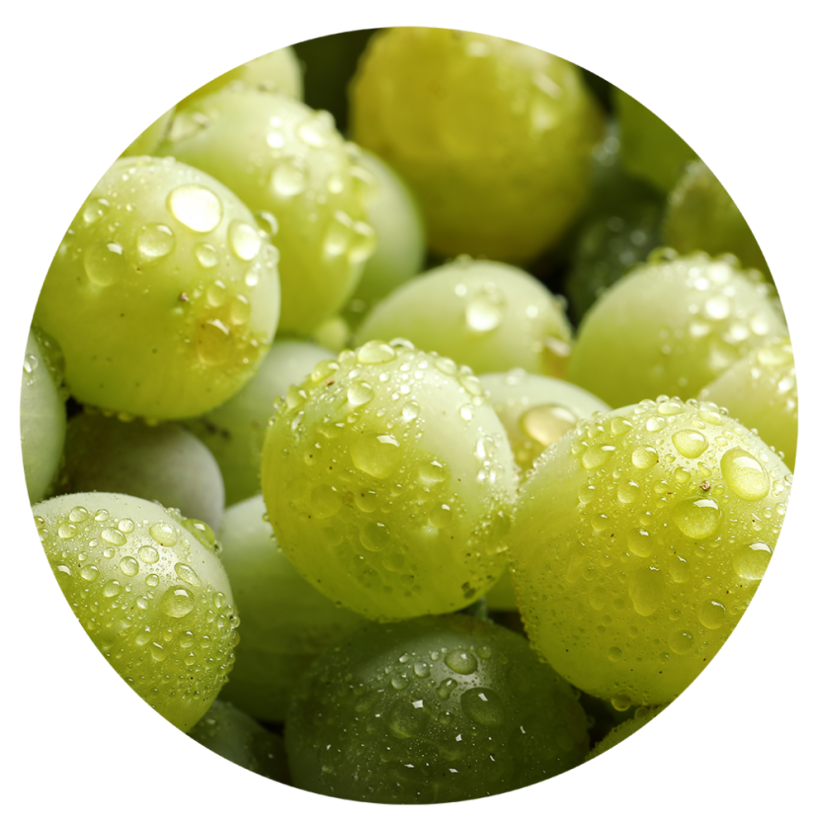 Parfém do svíček PINOT GRIGIO