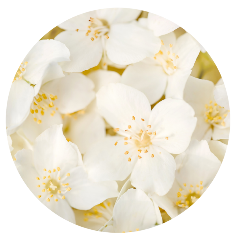 Parfém do svíček JASMÍN A VANILKA - Balení: 100 ml