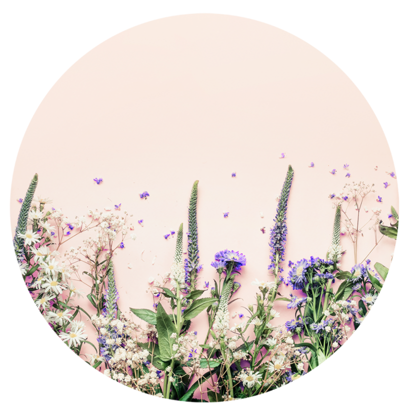 Parfém do svíček LUČNÍ KVÍTÍ - Balení: 25 ml