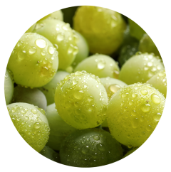 Parfém do svíček PINOT GRIGIO