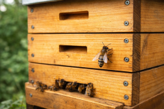 Ošetření nástavkových úlů parafínem