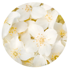 Parfém do svíček JASMÍN A VANILKA