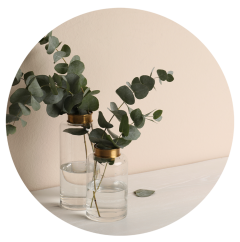 Parfém do svíček EUCALYPTUS